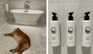Bathroom and Products
