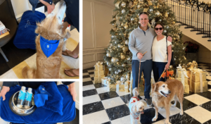 Dog and dog supplies. Photo with dogs and Mr. and Mrs. Deets in front of Christmas Tree