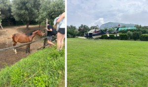 Landed Helicopter in field