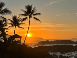 Hawaii landscape with ocean and palm trees