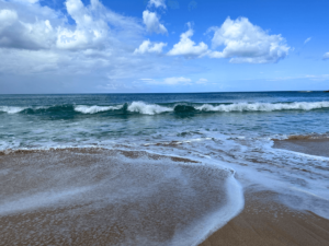Beach photo of the ocean