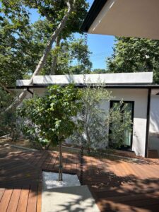 Patio with wood walkways and trees